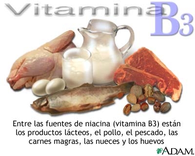 Vitamina b3 sau pp (niacina)